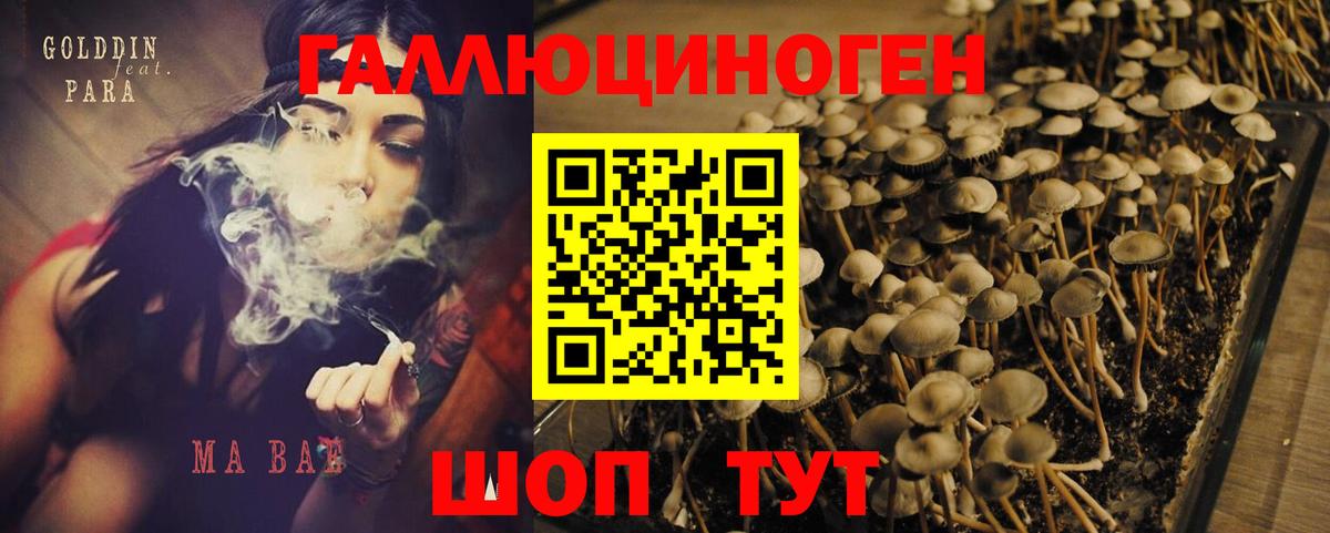 Псилоцибиновые грибы ЛСД Губаха