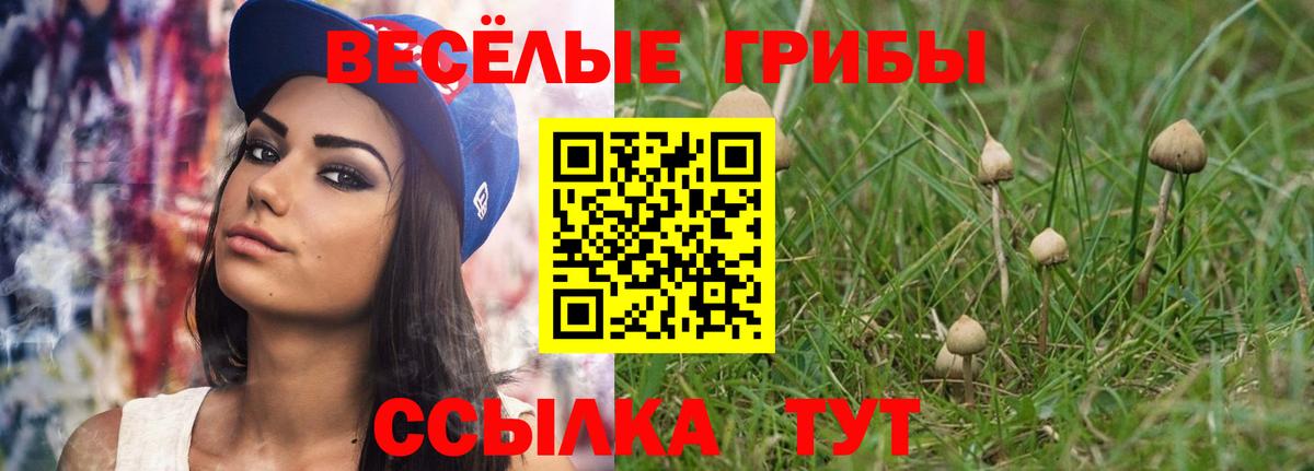 Галлюциногенные грибы прущие грибы  Вход с VPN  хочу   Губаха  Псилоцибиновые грибы GOLDEN TEACHER 