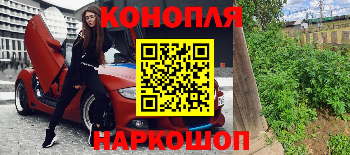Бошки Шишки семена Губаха
